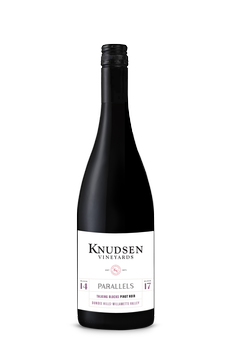 2022 Talking Blocks Parallels Pinot Noir 1