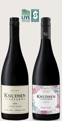 Pinot noir- Old vs. Young Duo - Spring 2023 1